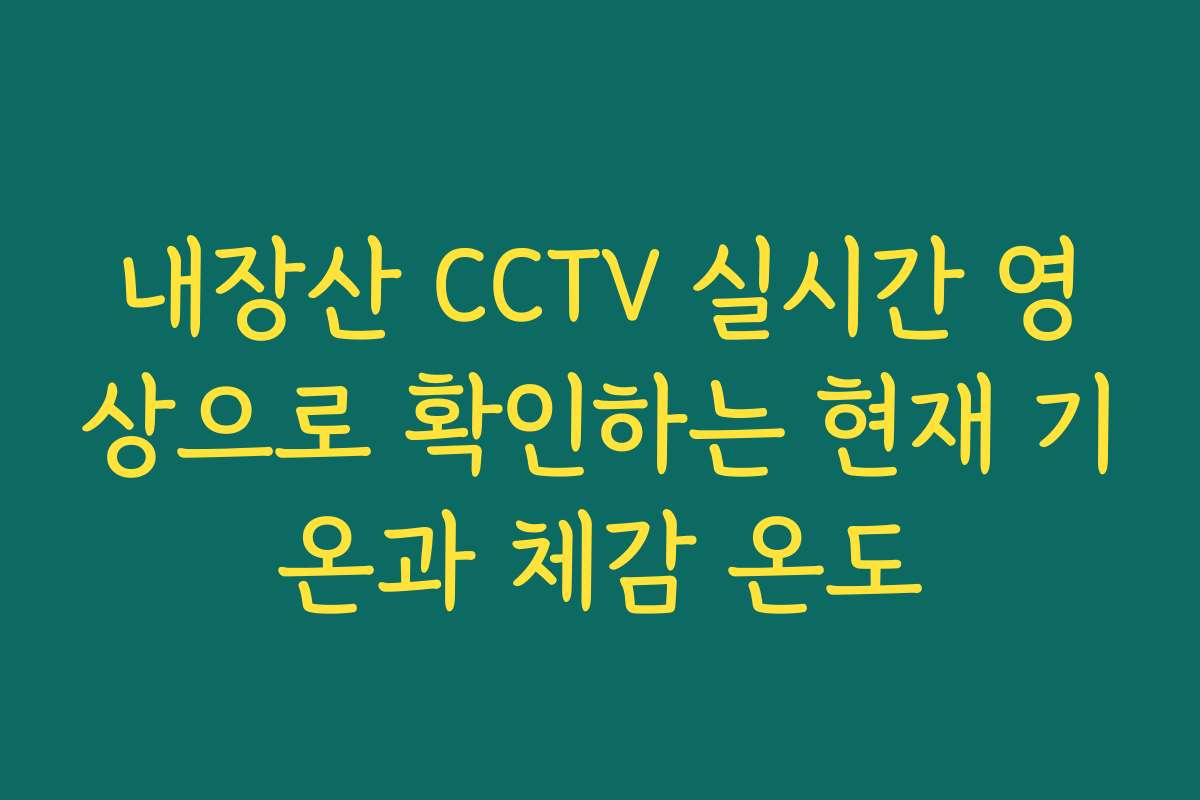 내장산 CCTV 실시간 영상으로 확인하는 현재 기온과 체감 온도