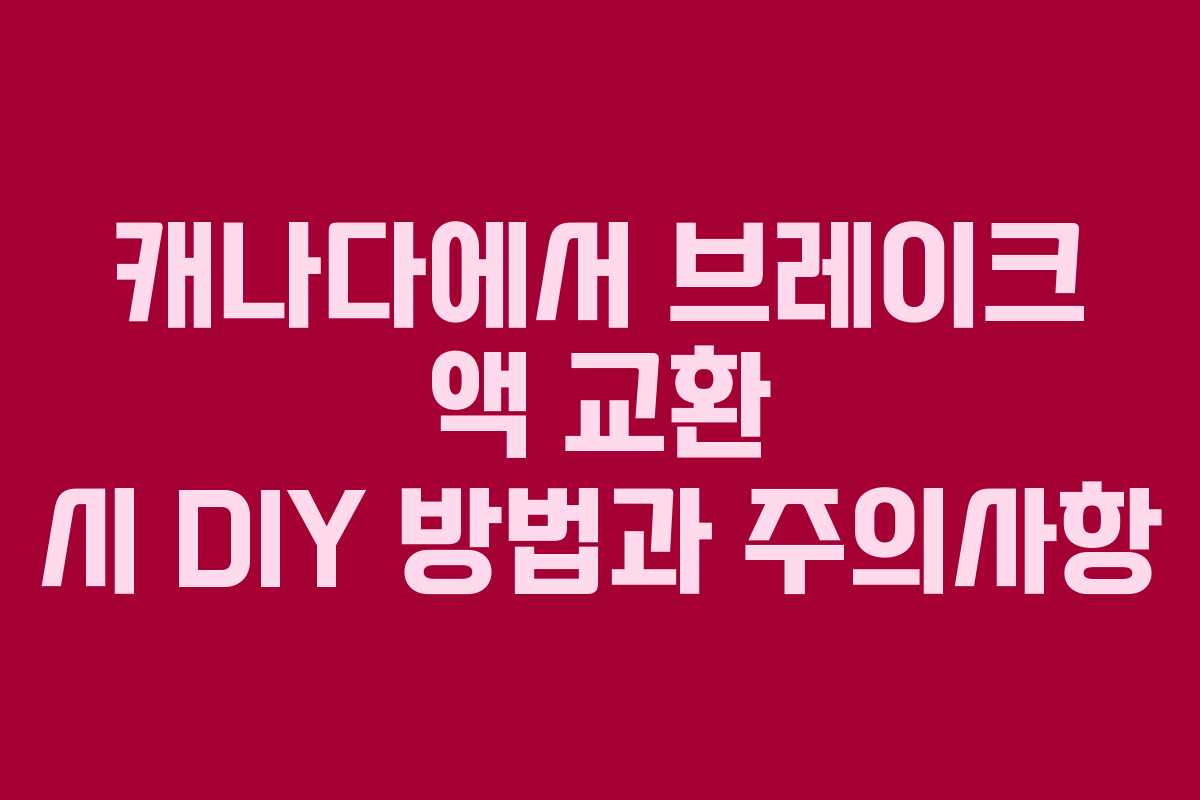 캐나다에서 브레이크 액 교환 시 DIY 방법과 주의사항