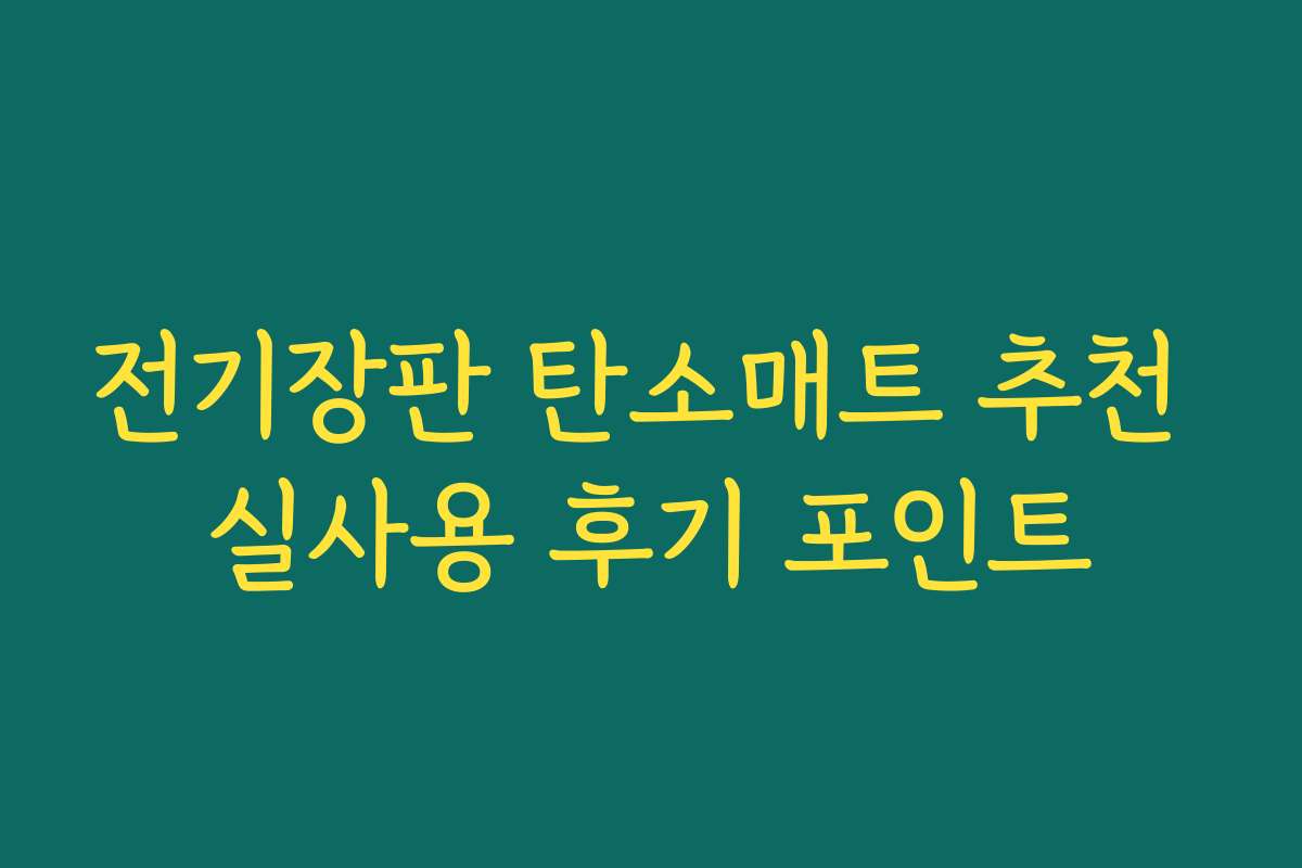 전기장판 탄소매트 추천 실사용 후기 포인트