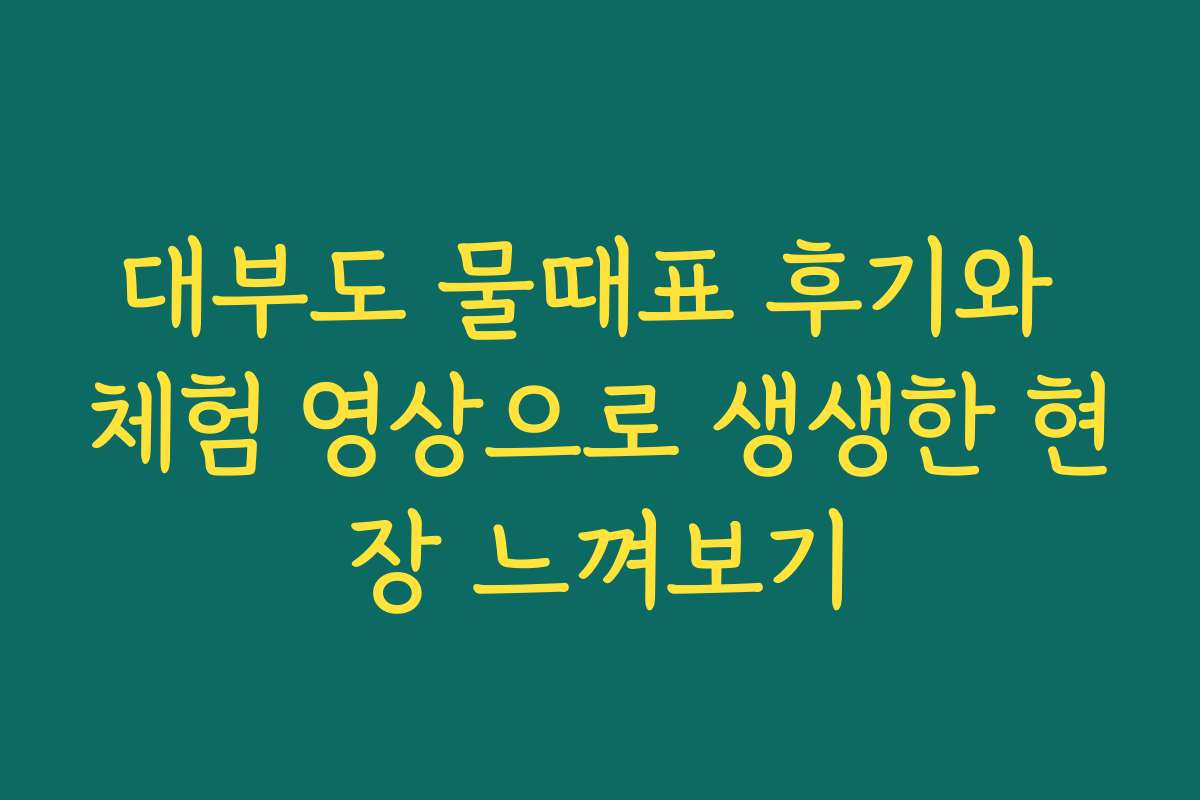대부도 물때표 후기와 체험 영상으로 생생한 현장 느껴보기
