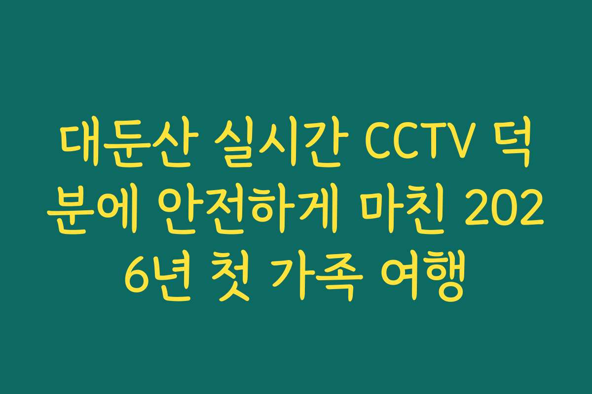 대둔산 실시간 CCTV 덕분에 안전하게 마친 2026년 첫 가족 여행