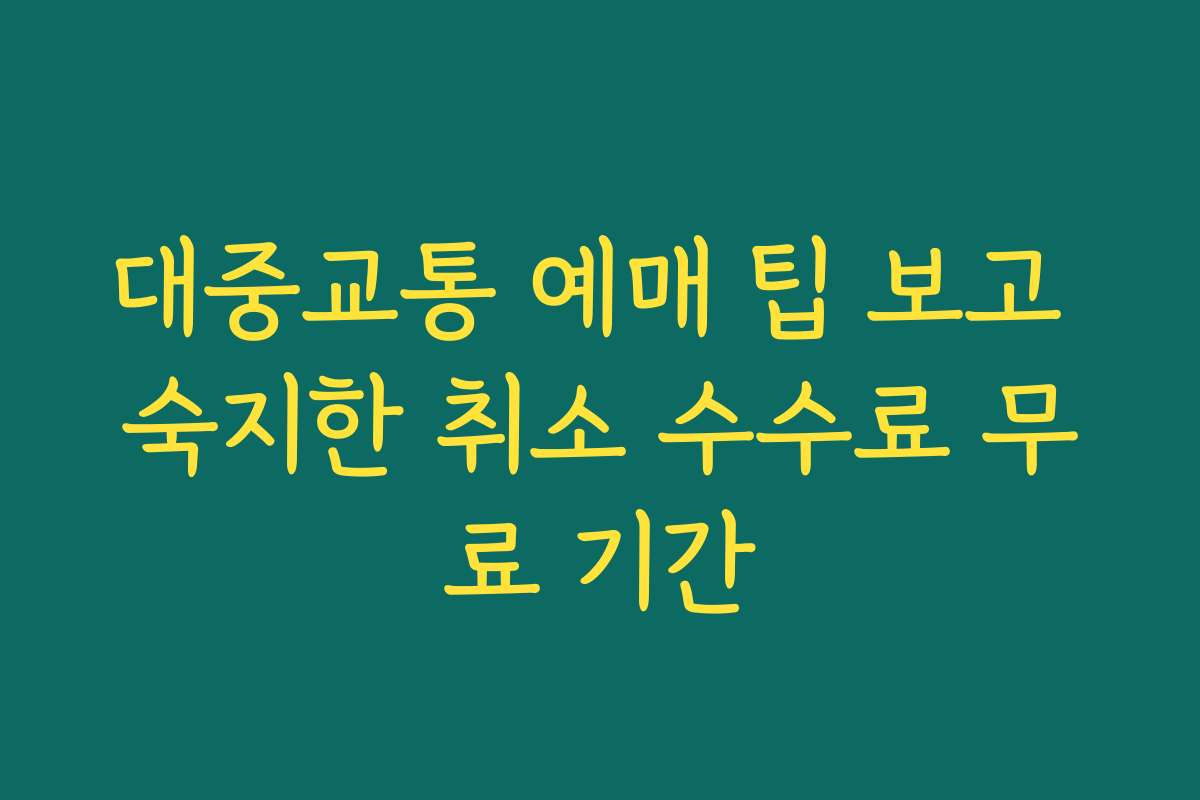 대중교통 예매 팁 보고 숙지한 취소 수수료 무료 기간
