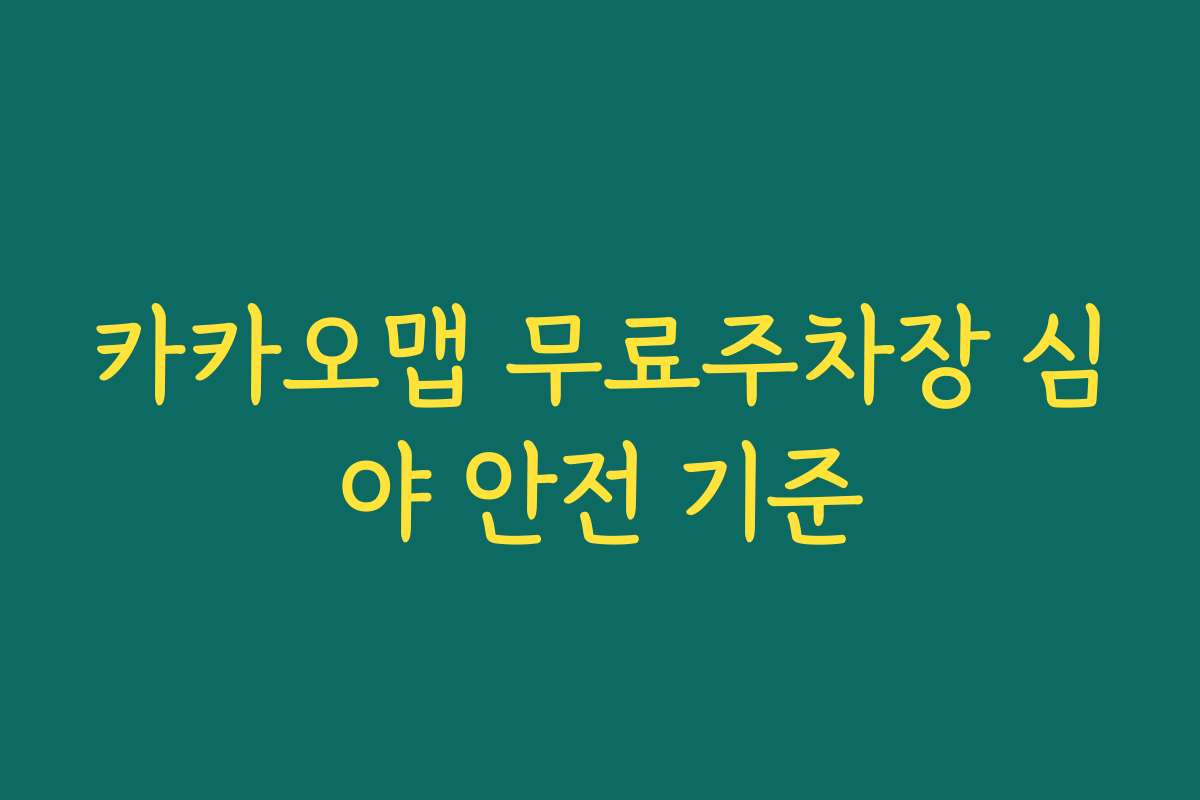 카카오맵 무료주차장 심야 안전 기준