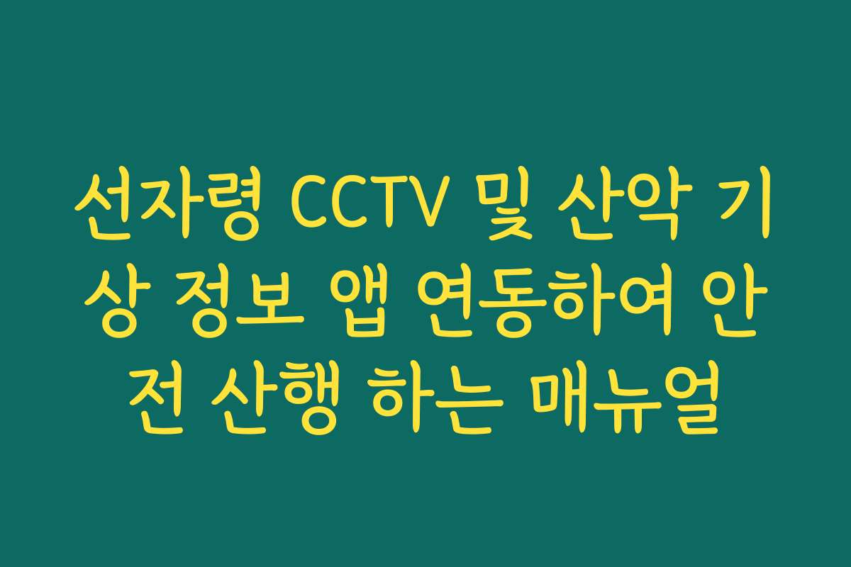 선자령 CCTV 및 산악 기상 정보 앱 연동하여 안전 산행 하는 매뉴얼