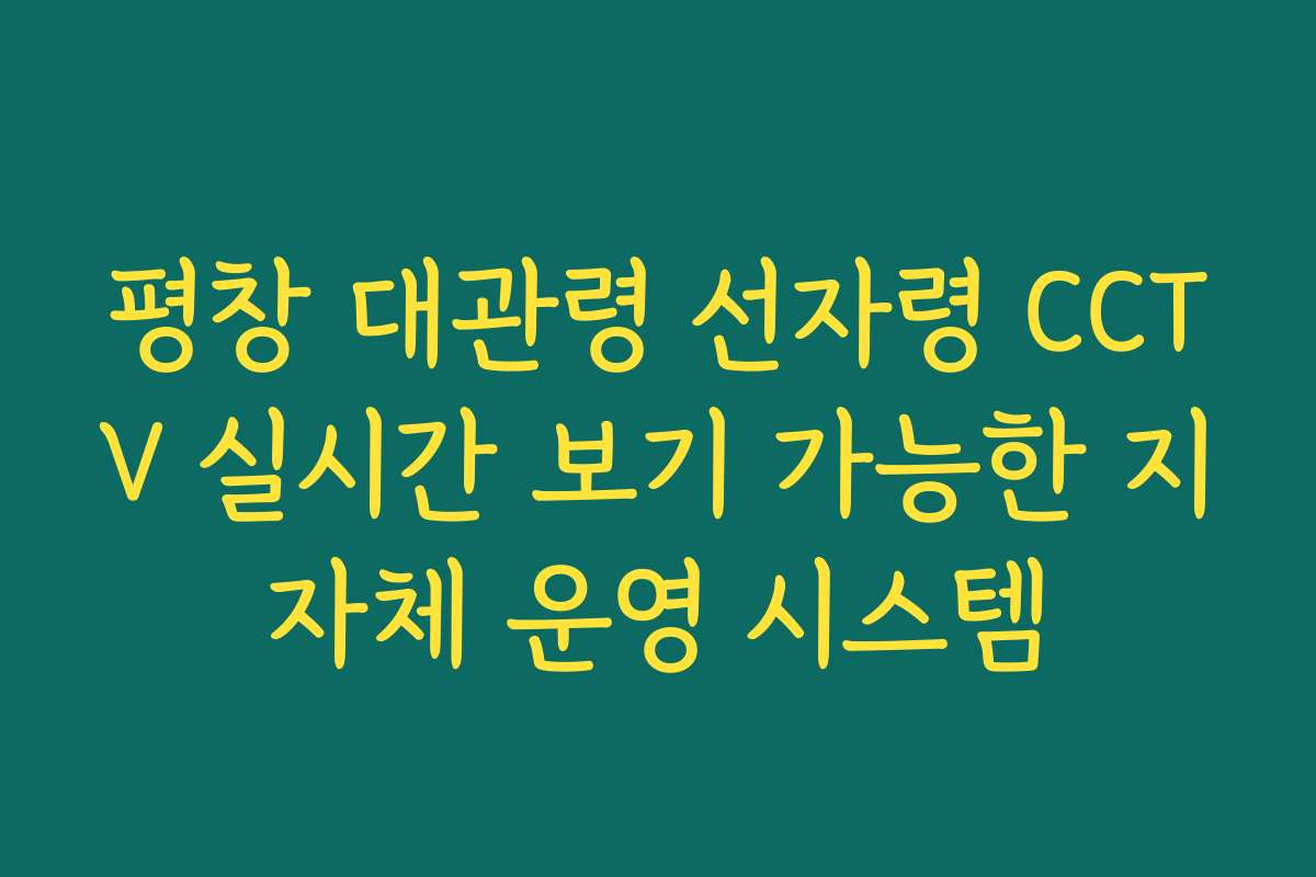 평창 대관령 선자령 CCTV 실시간 보기 가능한 지자체 운영 시스템