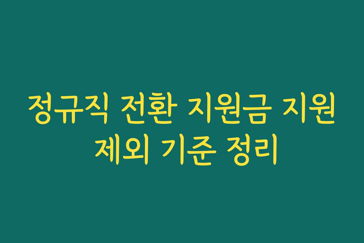 정규직 전환 지원금 지원 제외 기준 정리