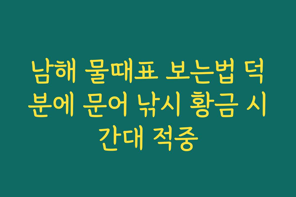 남해 물때표 보는법 덕분에 문어 낚시 황금 시간대 적중