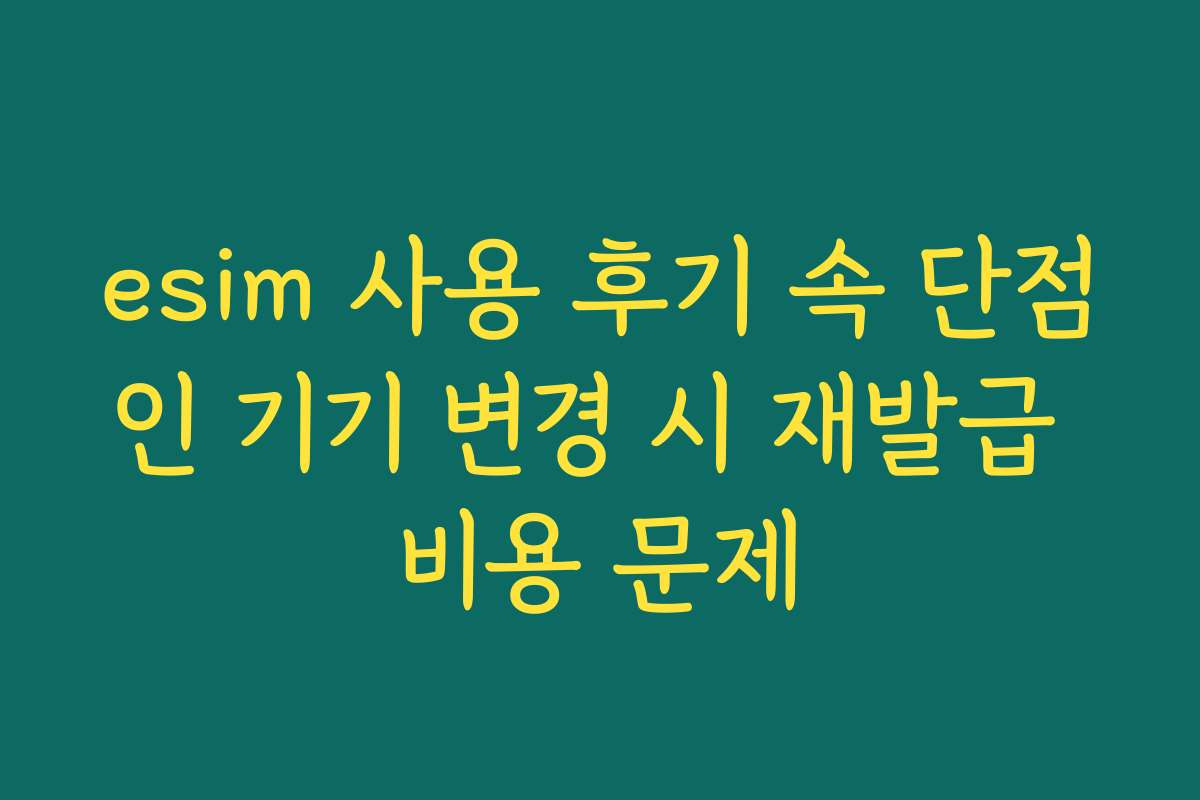 esim 사용 후기 속 단점인 기기 변경 시 재발급 비용 문제