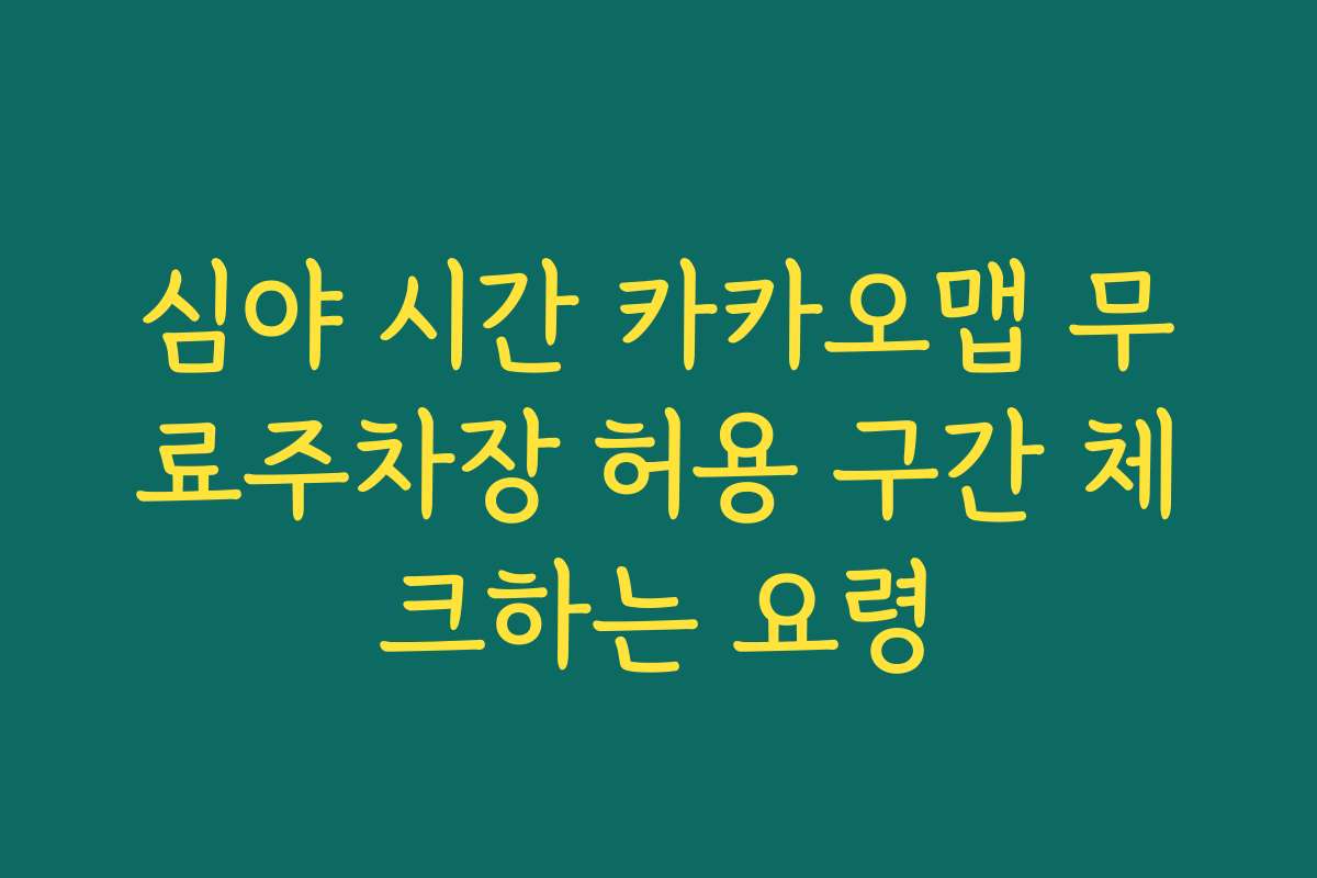 심야 시간 카카오맵 무료주차장 허용 구간 체크하는 요령