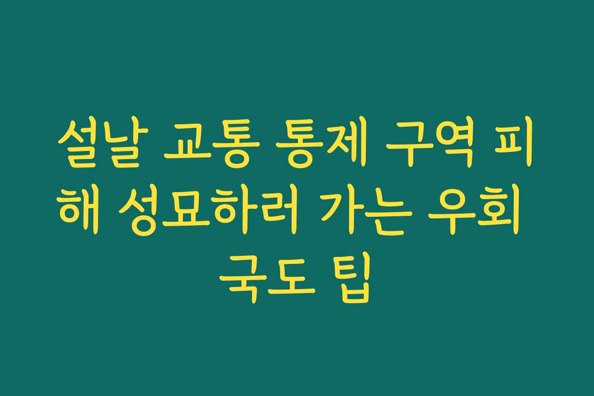 설날 교통 통제 구역 피해 성묘하러 가는 우회 국도 팁