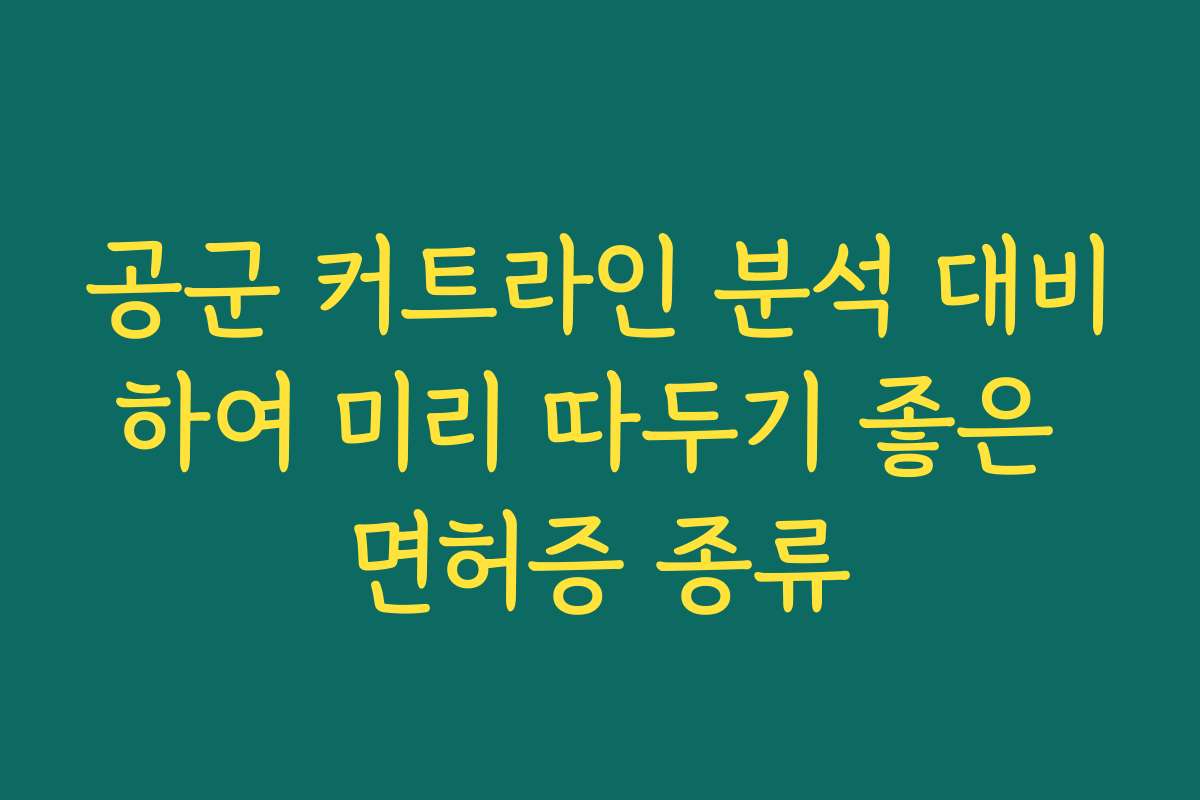 공군 커트라인 분석 대비하여 미리 따두기 좋은 면허증 종류