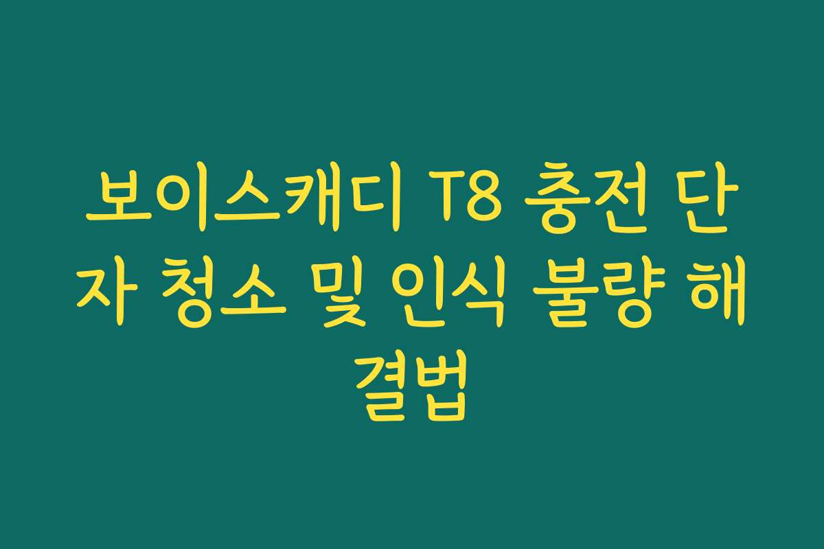 보이스캐디 T8 충전 단자 청소 및 인식 불량 해결법
