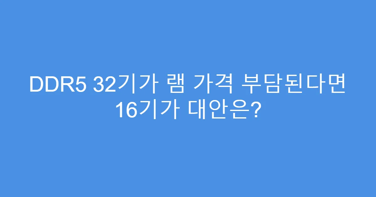 DDR5 32기가 램 가격 부담된다면 16기가 대안은?