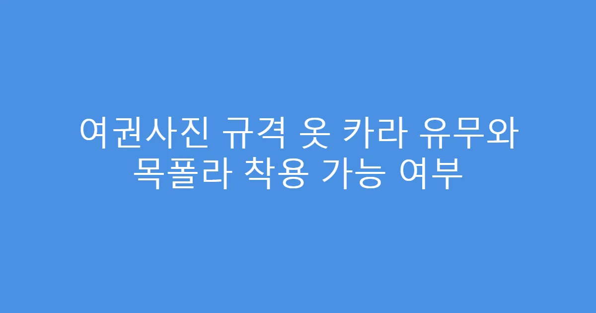여권사진 규격 옷 카라 유무와 목폴라 착용 가능 여부