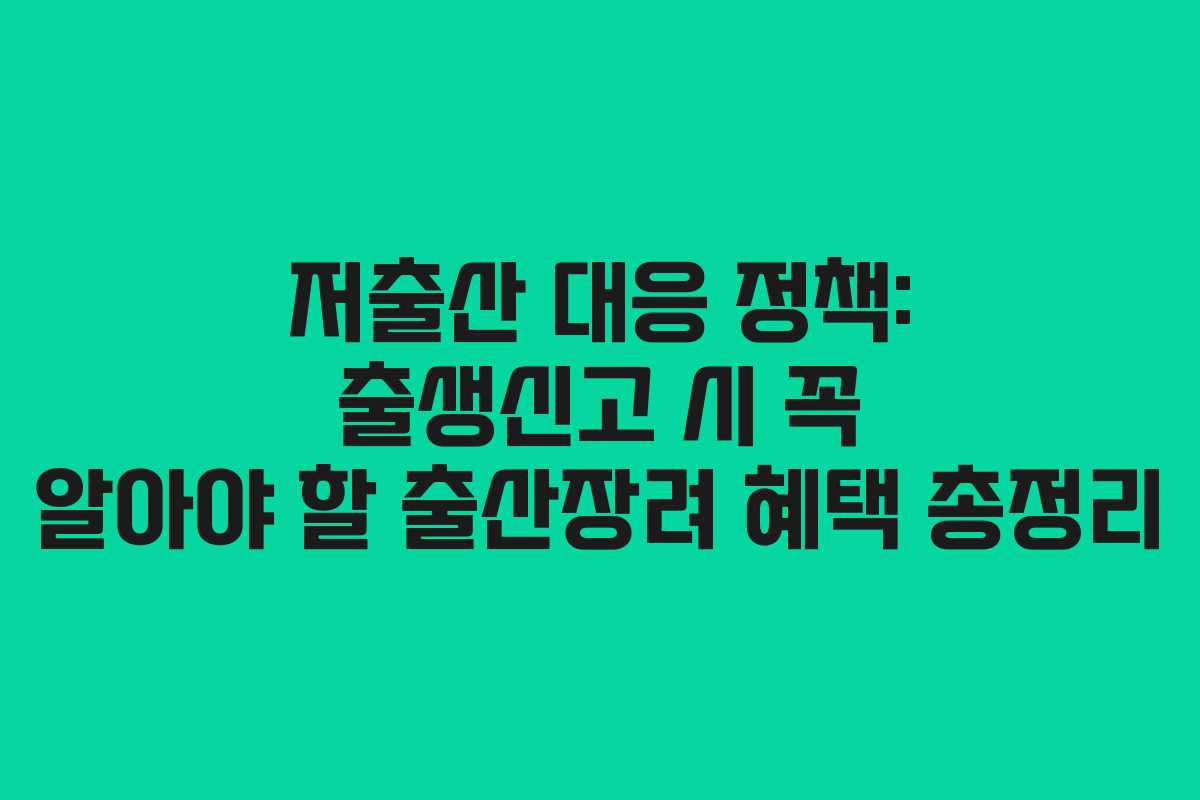 저출산 대응 정책: 출생신고 시 꼭 알아야 할 출산장려 혜택 총정리
