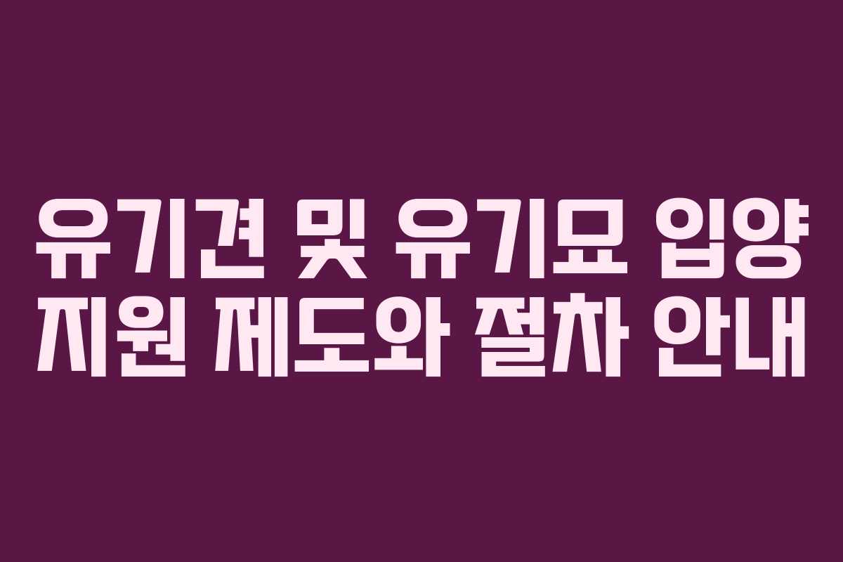 유기견 및 유기묘 입양 지원 제도와 절차 안내