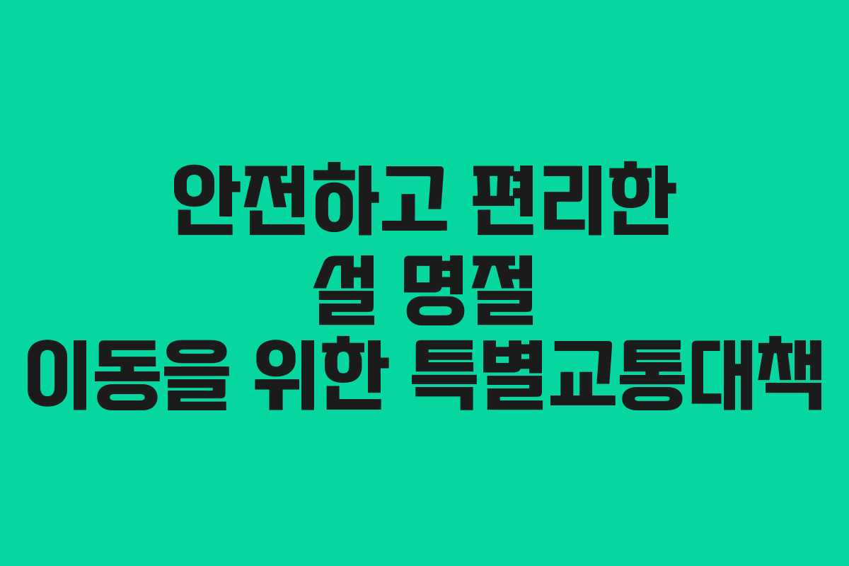 안전하고 편리한 설 명절 이동을 위한 특별교통대책