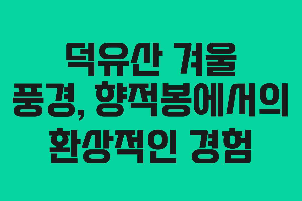 덕유산 겨울 풍경, 향적봉에서의 환상적인 경험