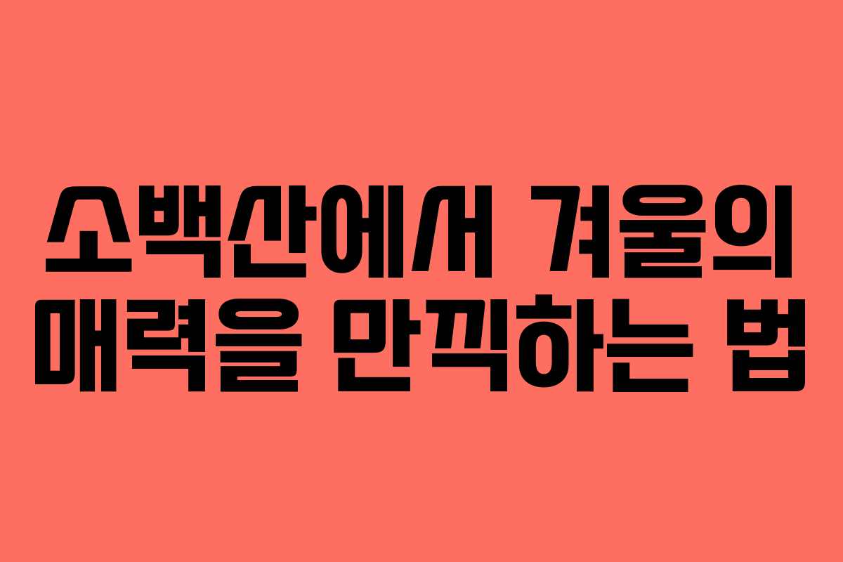 소백산에서 겨울의 매력을 만끽하는 법