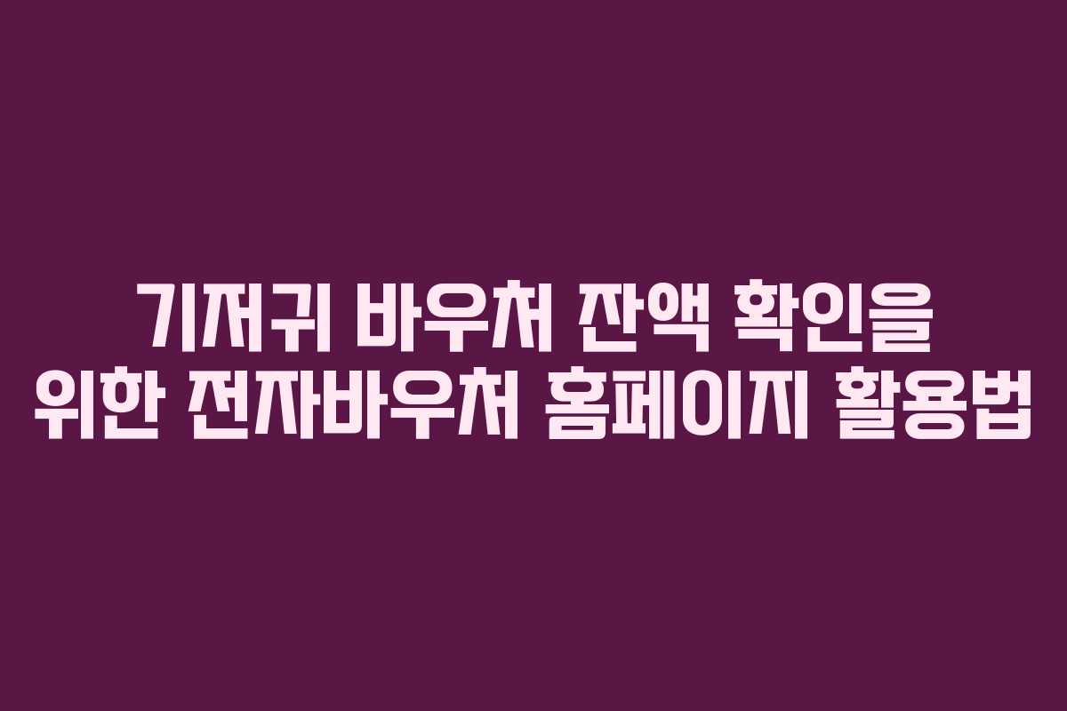 기저귀 바우처 잔액 확인을 위한 전자바우처 홈페이지 활용법