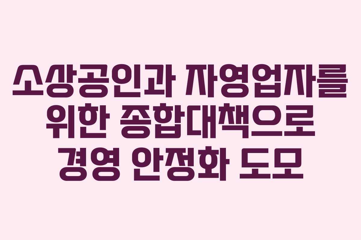 소상공인과 자영업자를 위한 종합대책으로 경영 안정화 도모