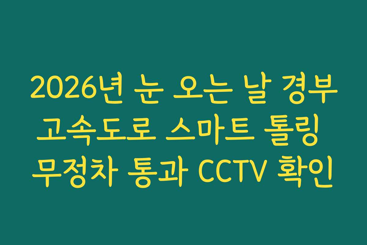 2026년 눈 오는 날 경부고속도로 스마트 톨링 무정차 통과 CCTV 확인
