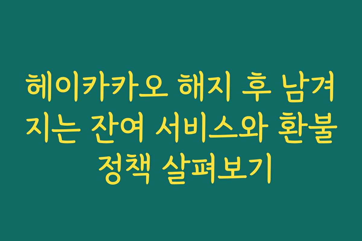 헤이카카오 해지 후 남겨지는 잔여 서비스와 환불 정책 살펴보기