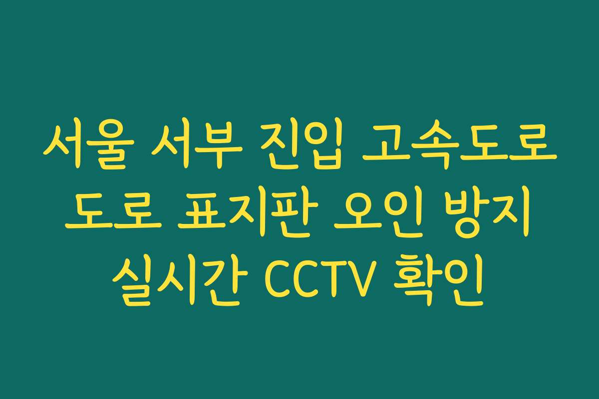 서울 서부 진입 고속도로 도로 표지판 오인 방지 실시간 CCTV 확인
