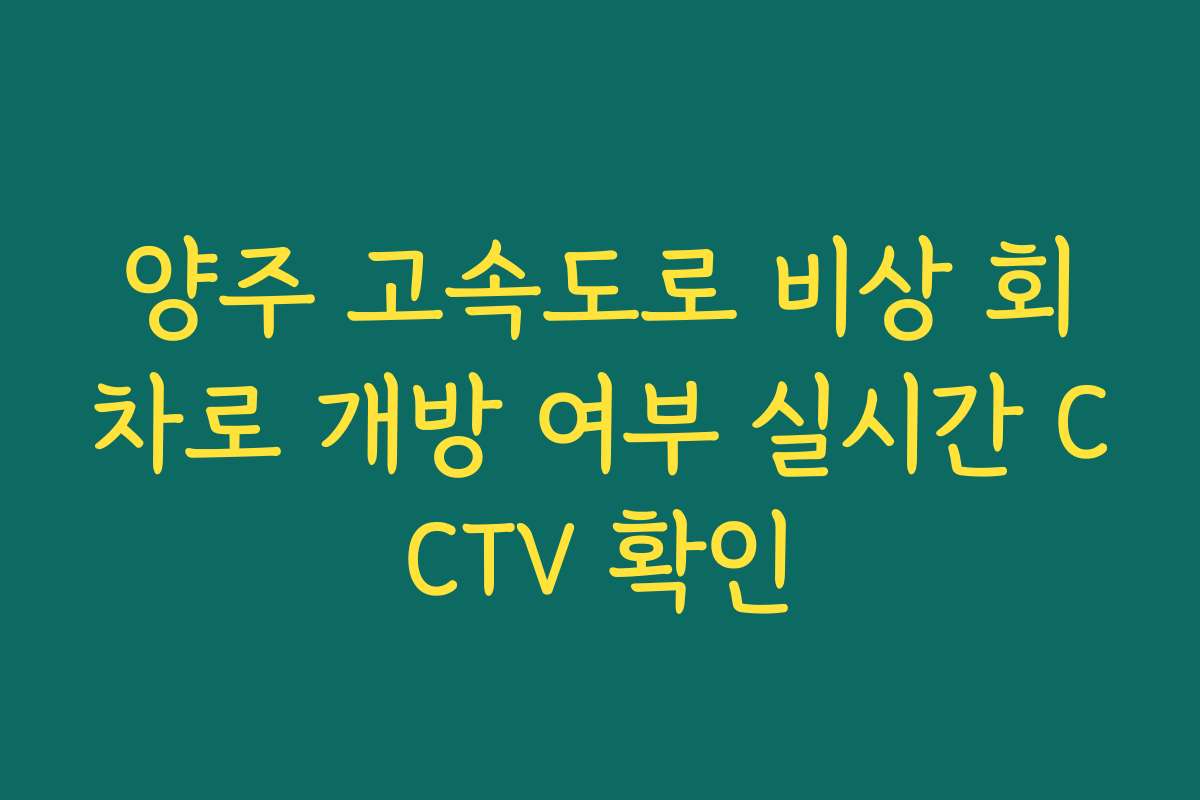양주 고속도로 비상 회차로 개방 여부 실시간 CCTV 확인