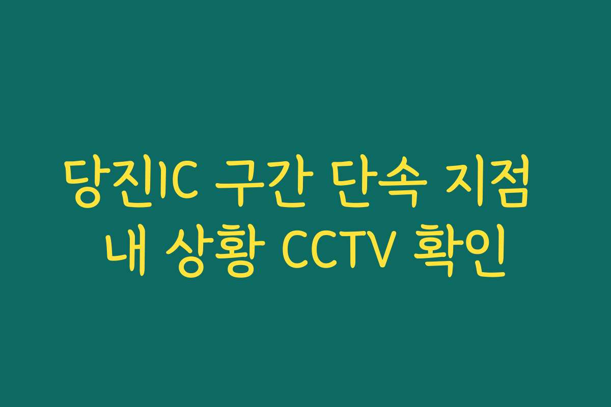 당진IC 구간 단속 지점 내 상황 CCTV 확인