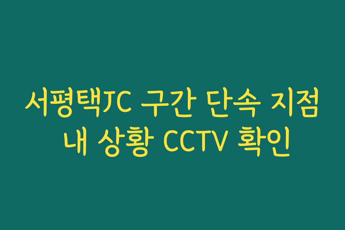 서평택JC 구간 단속 지점 내 상황 CCTV 확인