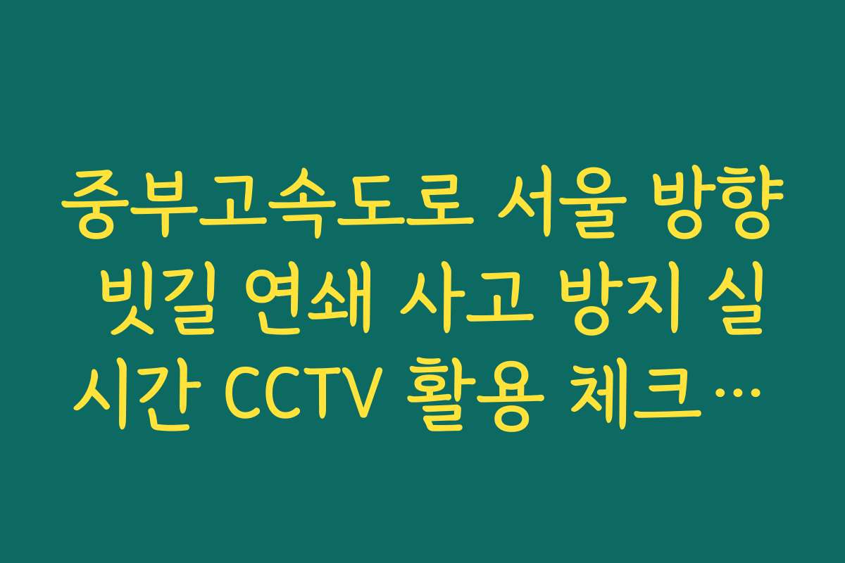 중부고속도로 서울 방향 빗길 연쇄 사고 방지 실시간 CCTV 활용 체크리스트법