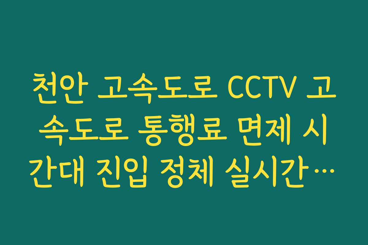 천안 고속도로 CCTV 고속도로 통행료 면제 시간대 진입 정체 실시간 확인