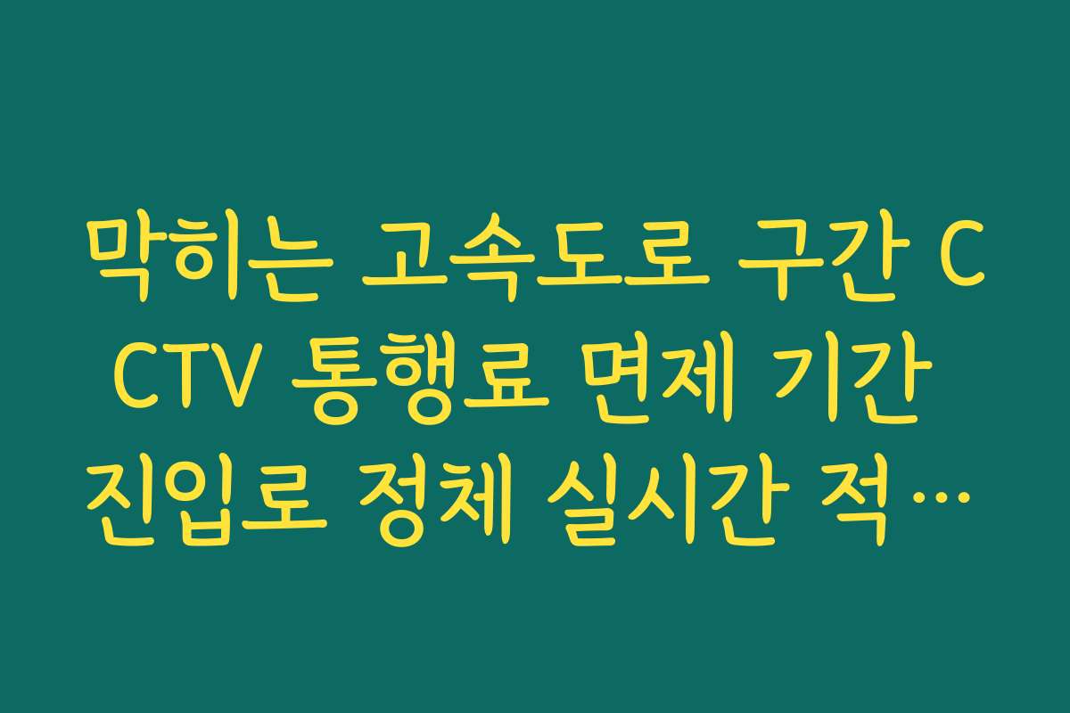 막히는 고속도로 구간 CCTV 통행료 면제 기간 진입로 정체 실시간 적용 확인