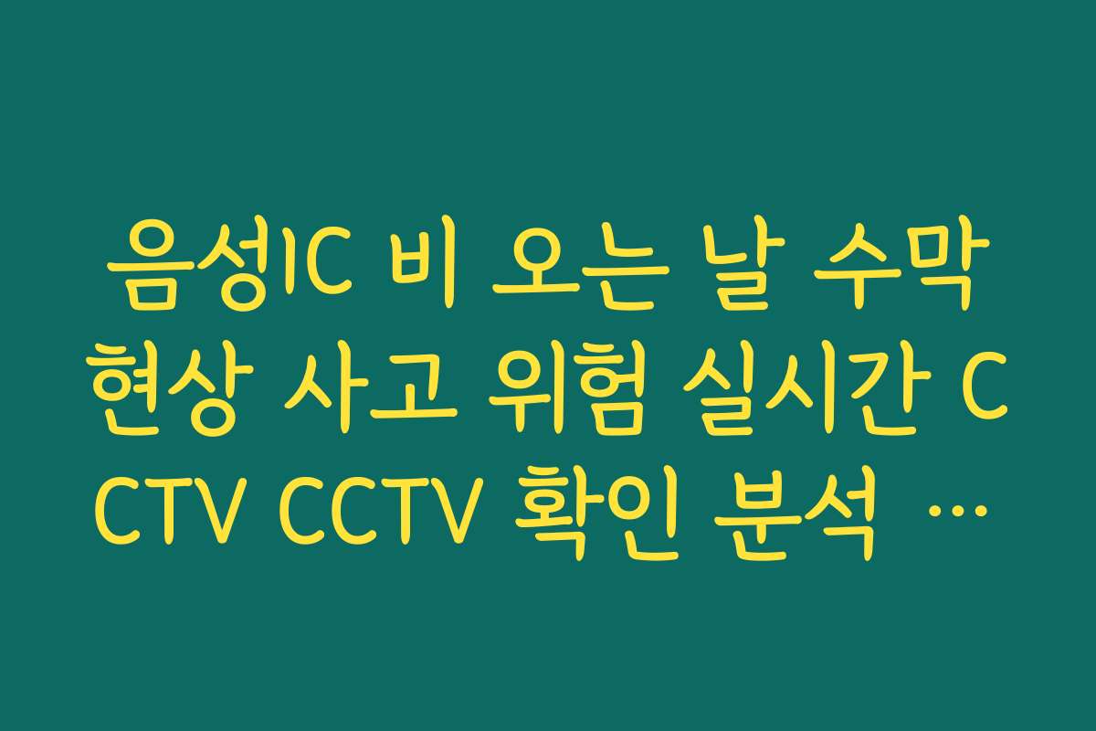 음성IC 비 오는 날 수막현상 사고 위험 실시간 CCTV CCTV 확인 분석 가이드
