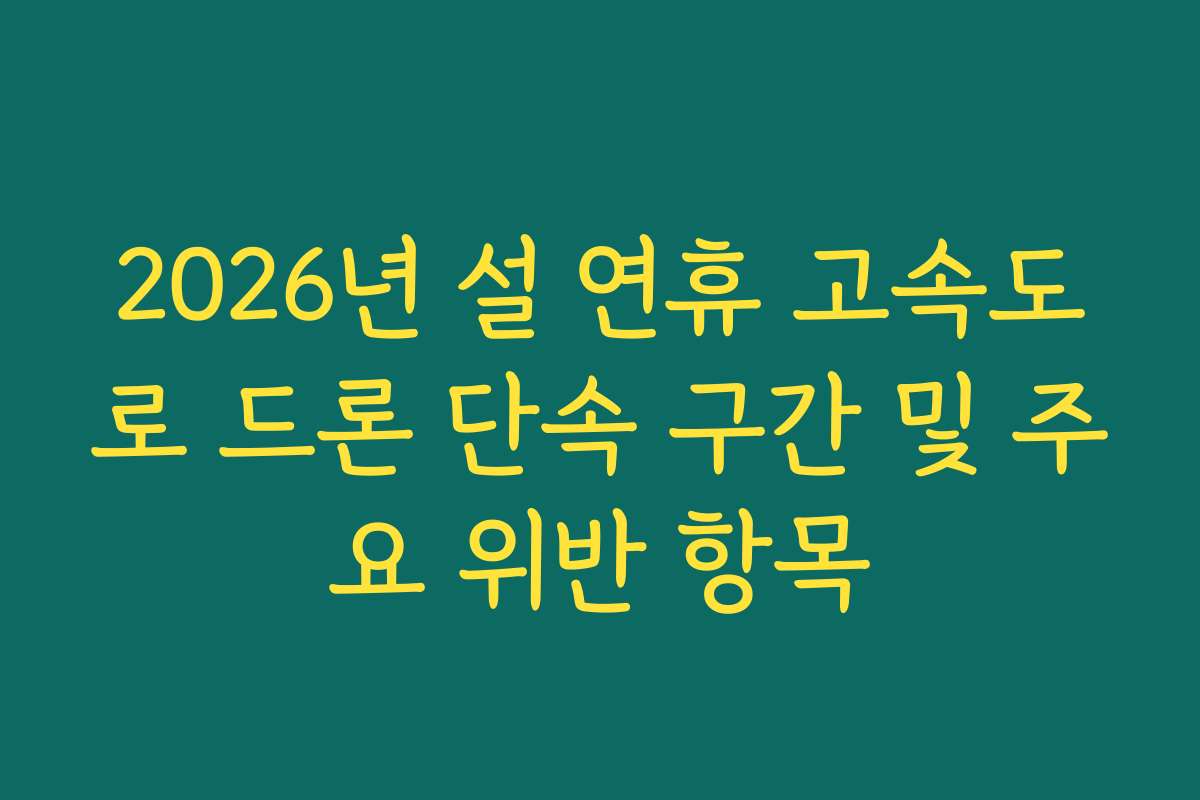 2026년 설 연휴 고속도로 드론 단속 구간 및 주요 위반 항목