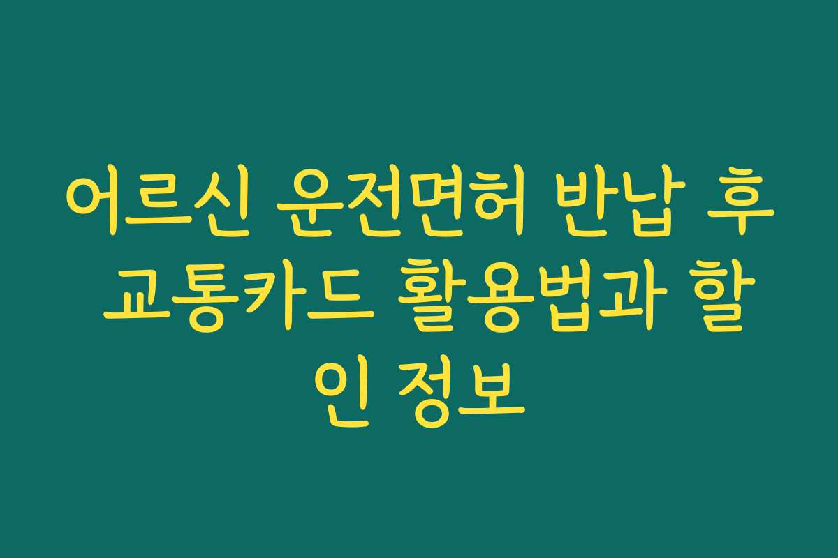 어르신 운전면허 반납 후 교통카드 활용법과 할인 정보