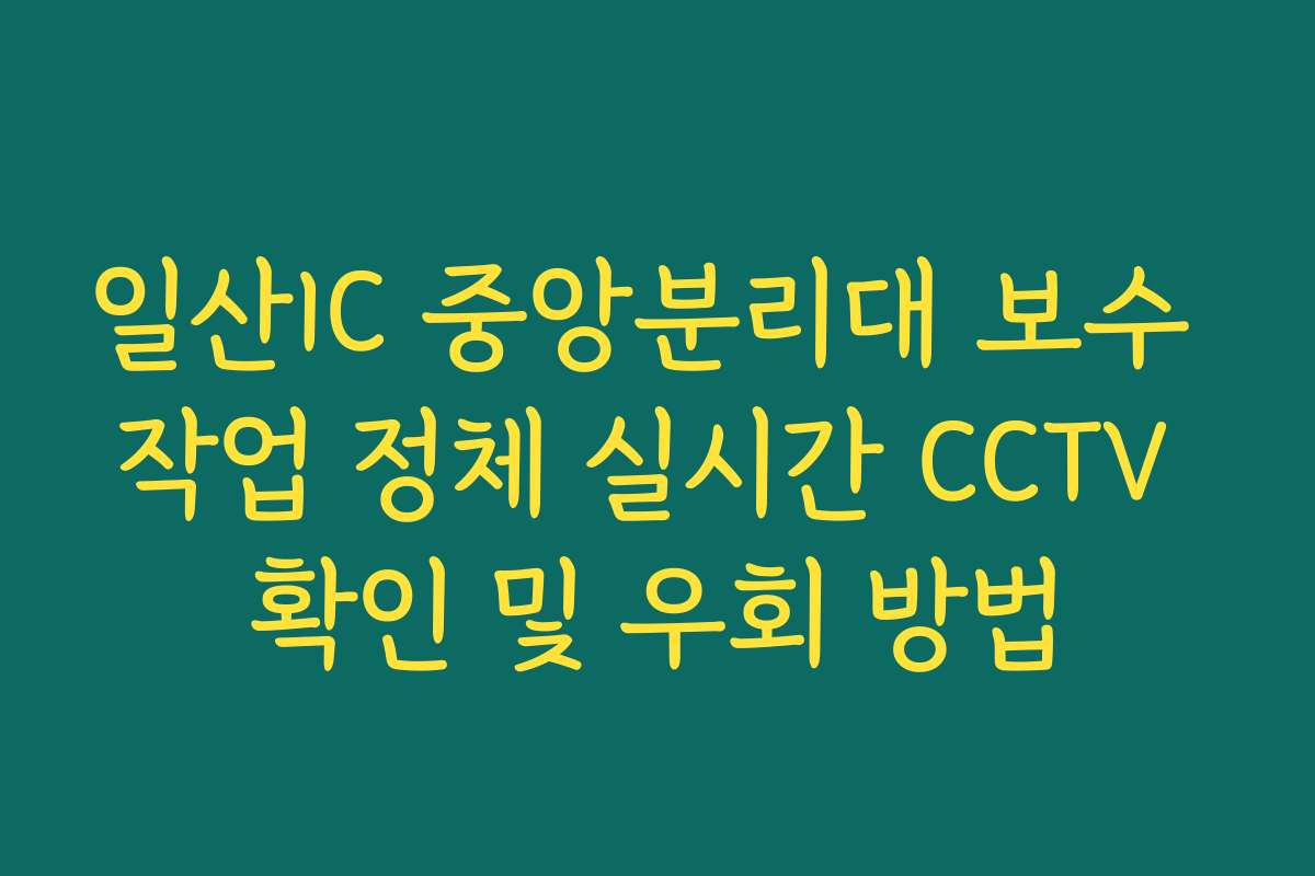 일산IC 중앙분리대 보수 작업 정체 실시간 CCTV 확인 및 우회 방법