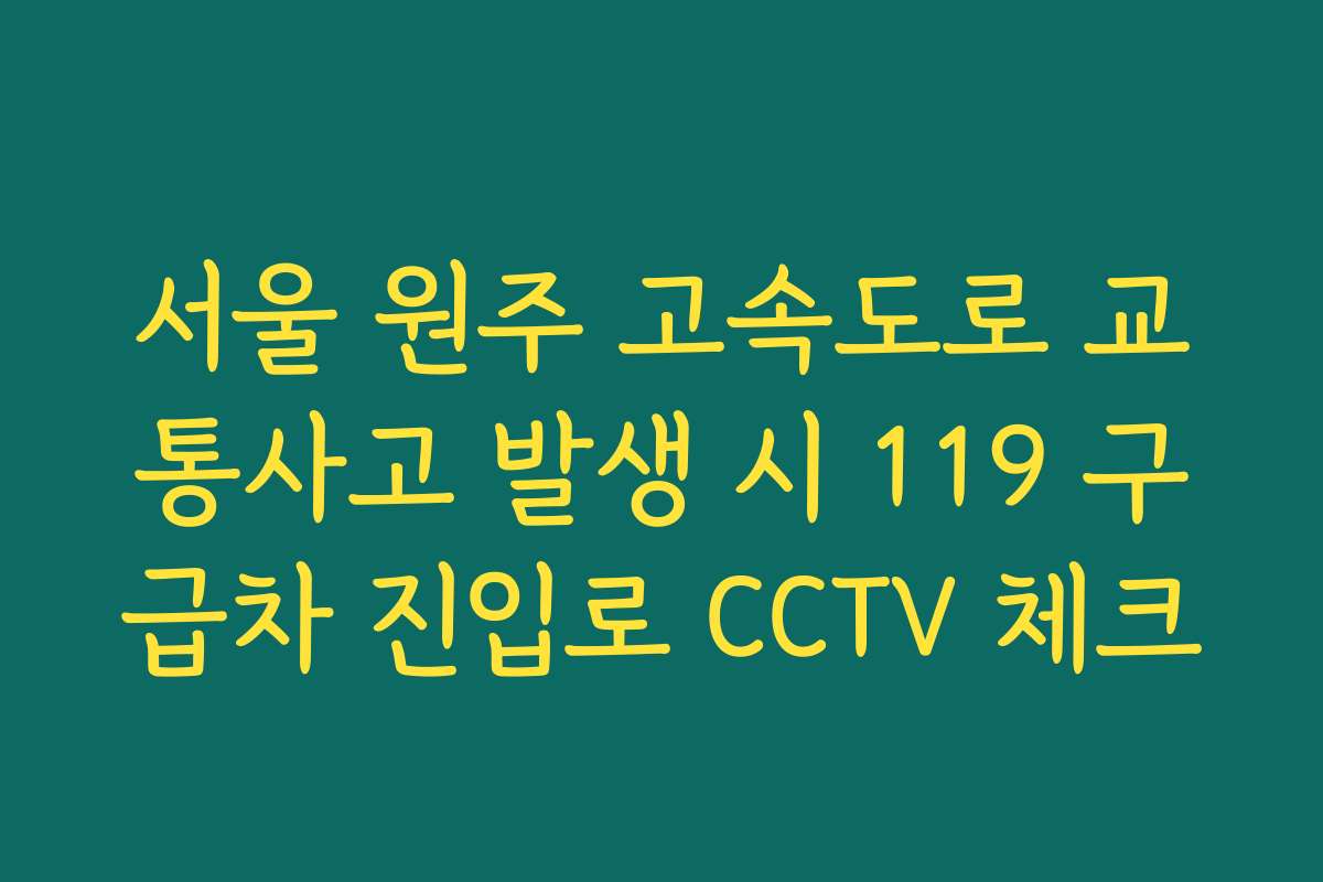서울 원주 고속도로 교통사고 발생 시 119 구급차 진입로 CCTV 체크