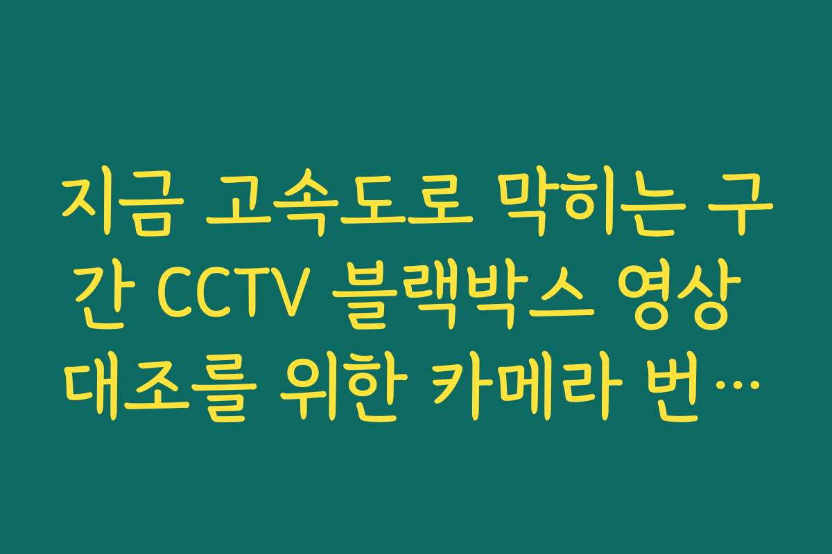 지금 고속도로 막히는 구간 CCTV 블랙박스 영상 대조를 위한 카메라 번호 안내