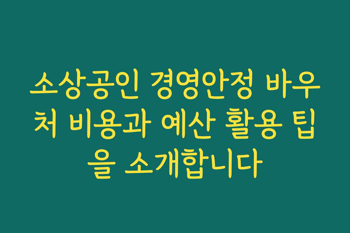 소상공인 경영안정 바우처 비용과 예산 활용 팁을 소개합니다