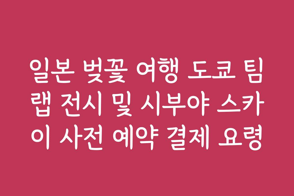 일본 벚꽃 여행 도쿄 팀랩 전시 및 시부야 스카이 사전 예약 결제 요령