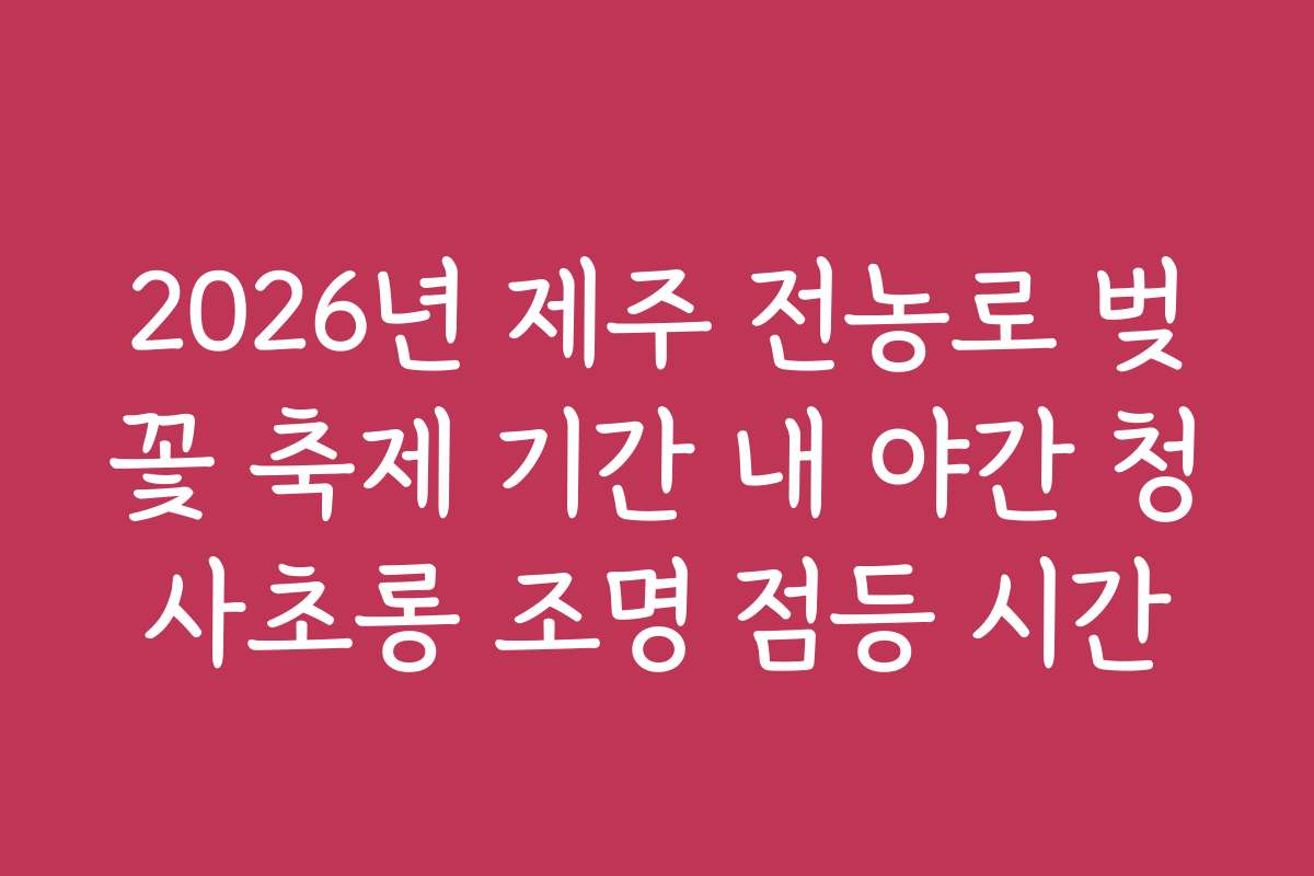 2026년 제주 전농로 벚꽃 축제 기간 내 야간 청사초롱 조명 점등 시간