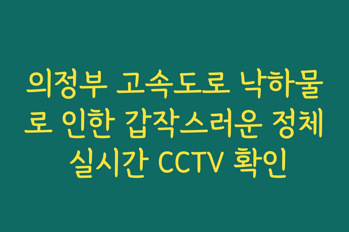 의정부 고속도로 낙하물로 인한 갑작스러운 정체 실시간 CCTV 확인