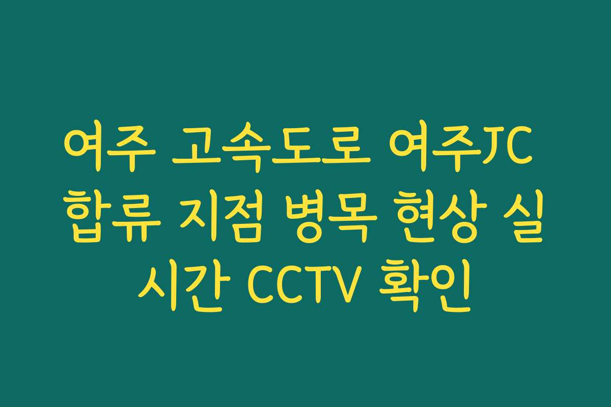 여주 고속도로 여주JC 합류 지점 병목 현상 실시간 CCTV 확인