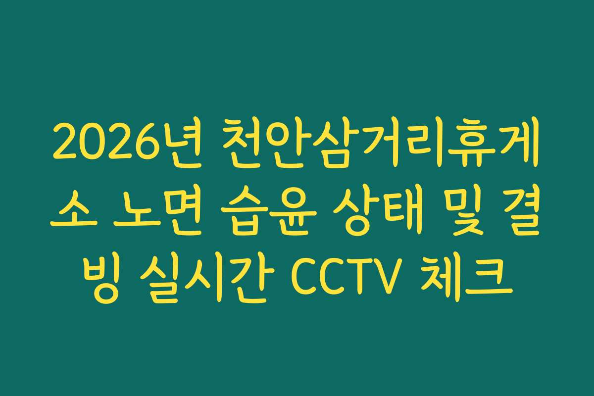 2026년 천안삼거리휴게소 노면 습윤 상태 및 결빙 실시간 CCTV 체크