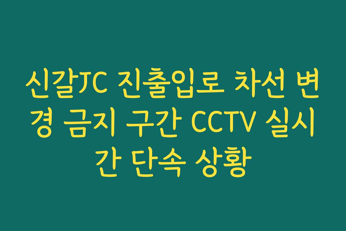 신갈JC 진출입로 차선 변경 금지 구간 CCTV 실시간 단속 상황