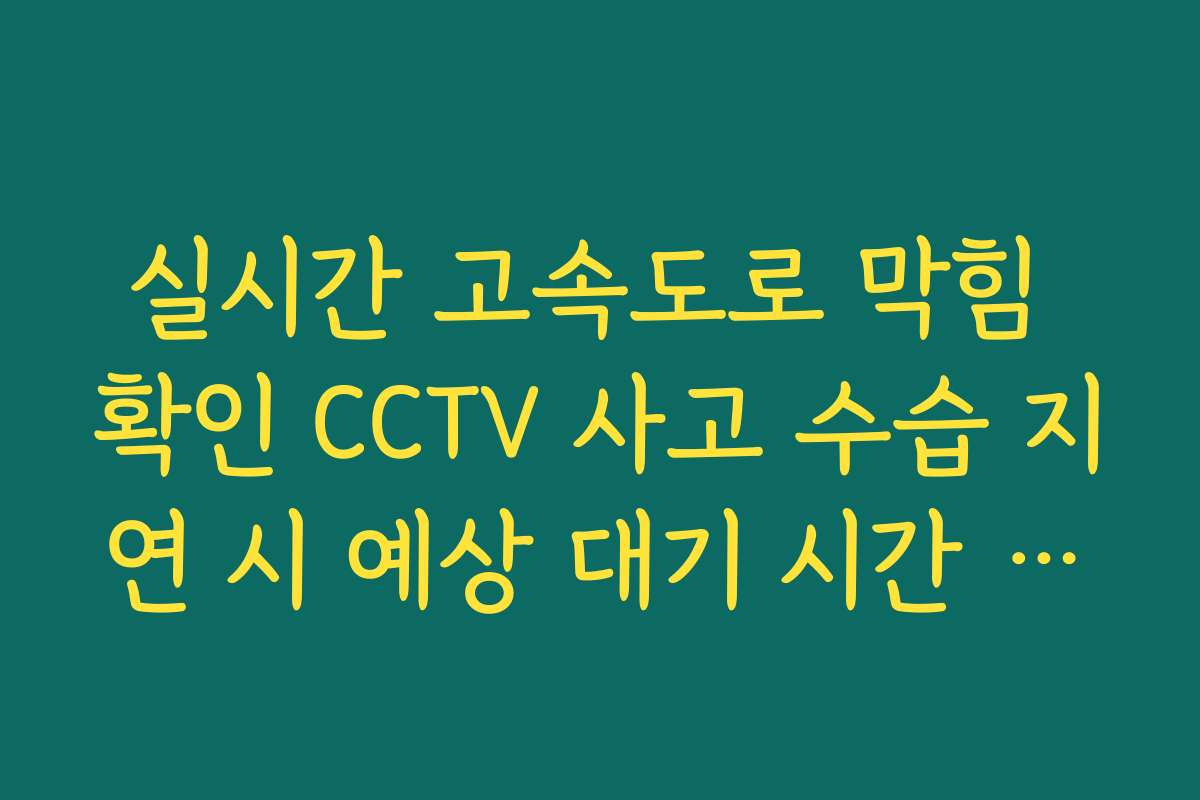 실시간 고속도로 막힘 확인 CCTV 사고 수습 지연 시 예상 대기 시간 측정 팁