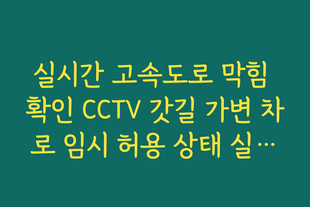 실시간 고속도로 막힘 확인 CCTV 갓길 가변 차로 임시 허용 상태 실시간 대조