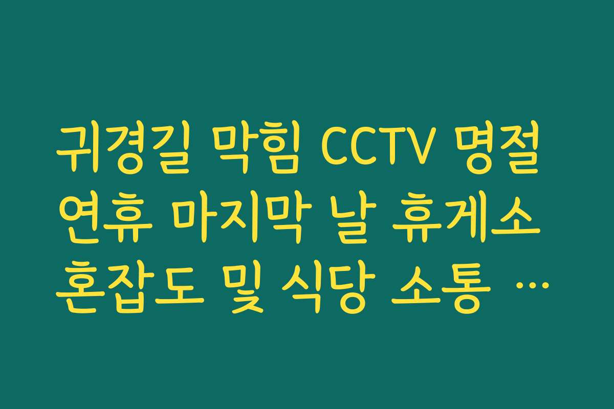 귀경길 막힘 CCTV 명절 연휴 마지막 날 휴게소 혼잡도 및 식당 소통 확인